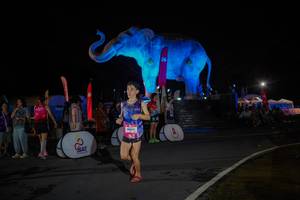 BIB: 
                            <button type="button" onclick="openModal(26551876)" class="btn btn-primary btn-sm float-right btn-popup" data-toggle="modal" data-target=".modal-high-quality">
                        <i class="fas fa-shopping-cart"></i> Add to Cart
                    </button>
                                            <button type="button" onclick="isThisMe(26551876, true)" class="btn btn-success btn-sm float-right btn-popup btn-isme hidden" data-toggle="tooltip" data-placement="bottom" title="นี่คือรูปของคุณใช่ไหม คลิกที่นี่เพื่อเอาเข้าอัลบั้ม">
                        <i class="fas fa-plus"></i> Add to album
                    </button>
                    <button type="button" onclick="isThisMe(26551876, false)" class="btn btn-warning btn-sm float-right btn-popup btn-isnotme hidden">
                        <i class="fas fa-ban"></i> Remove from album
                    </button>